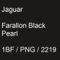 Preview: Jaguar, Farallon Black Pearl, 1BF / PNG / 2219.
